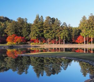 金運神社の岩手県 ７選 金運 財運アップ 各神社の特徴まとめ Free Life通信