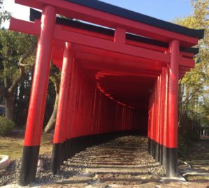 千本鳥居 全国 東京都内 27選 赤い鳥居が沢山ある神社まとめ Free Life通信