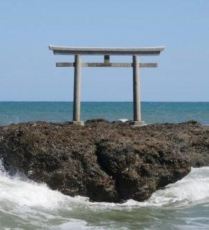 茨城県の白い鳥居の神社 おすすめ 7選 Free Life通信